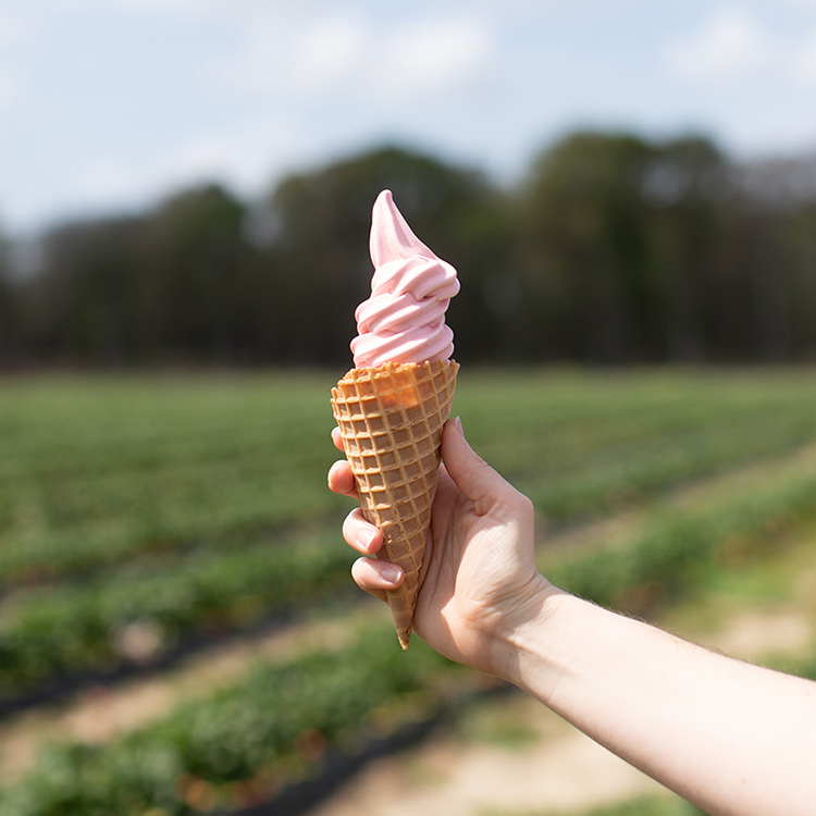 Certified Farm Market Spring Bucket List